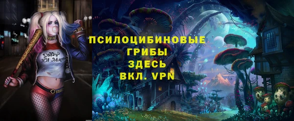 PSILOCYBIN Балахна