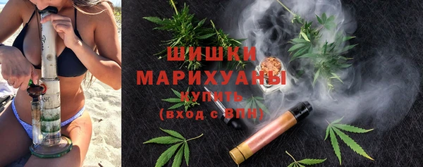 PSILOCYBIN Балахна